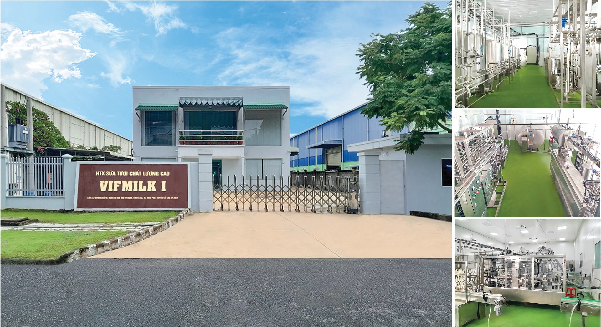 Hợp tác xã sữa tươi chất lượng cao Vifmilk I